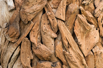 Ornamental dried wood pieces
