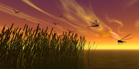 Entspannung und Gleichgewicht © MC Rendered Artwork