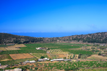 Plantation, Pantelleria