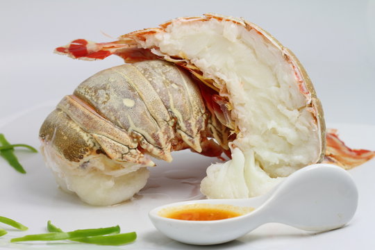 demi queue de langouste