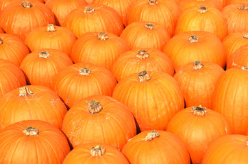 Pumpkins