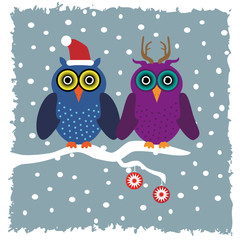 Eulen Winter