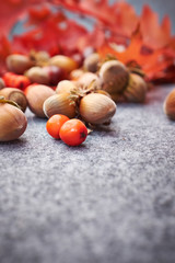 Autumn background