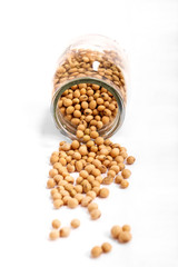 Soybean