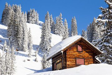 Winter landscape