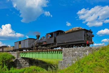 Obraz premium Narrow gauge steam train.