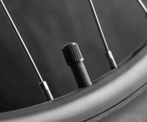 Valve of a bicycle wheel