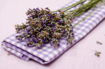 Blüten vom lila Lavendel