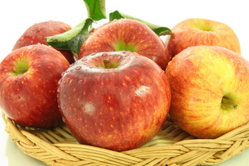 apples closeup