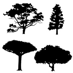 Trees