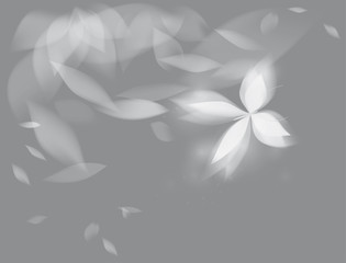 Shining butterfly / Black-and-white floral background