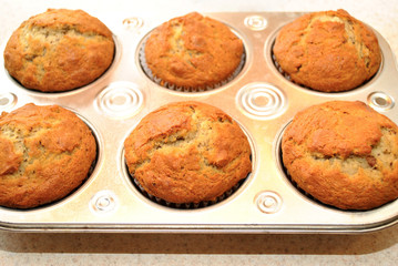 Six Fresh Muffins Cooling in a Tin