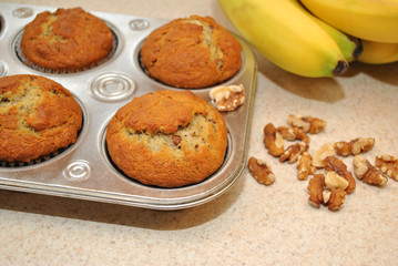 Fresh Muffins Walnuts and Bananas