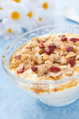 dessert of yogurt with honey, granola and dried cranberries
