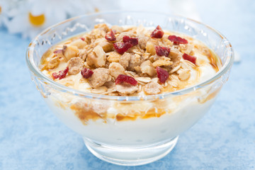 dessert of natural yogurt with maple syrup, granola and nuts