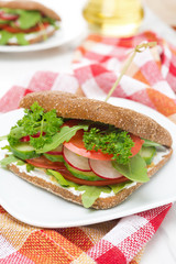 Healthy food - sandwich with cottage cheese, vegetable
