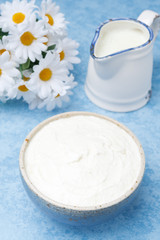 thick homemade natural yoghurt and milk, top view