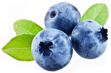Blueberries with leaves on a white background.