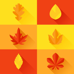 Autumn leaves in flat design style.