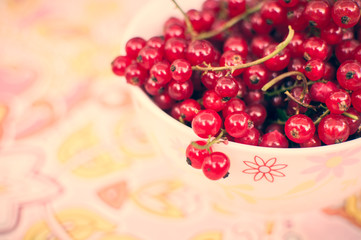 Bowl of redcurrants