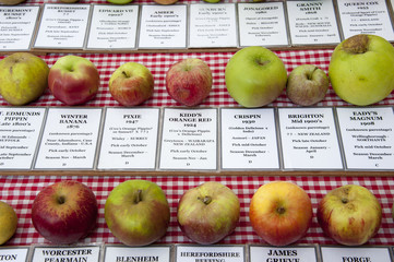 Selction of apples and the details relevant to them