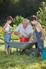 Naklejka na ściany i meble children is helping her Grandfather in the garden