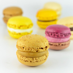 Colorful macaroon isolated