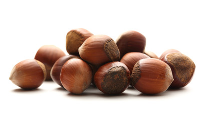 Fresh hazelnuts