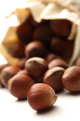 Fresh hazelnuts