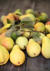 autumn pears