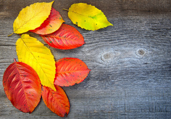 Autumn Leaves over old wooden background