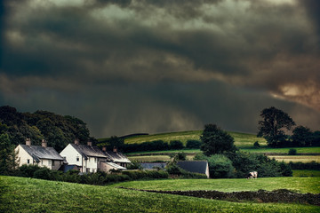 Stormy Hamlet