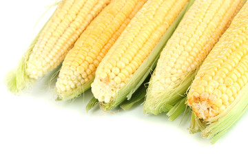 Fresh corn vegetable isolated on white