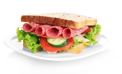 Tasty sandwich with salami sausage and vegetables