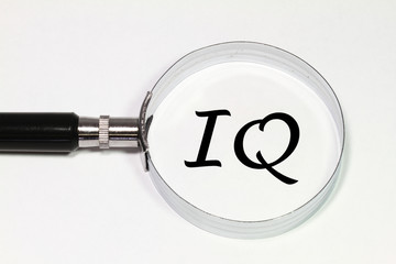 Intelligenzquotient