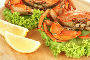 Boiled crabs on wooden board, isolated on white
