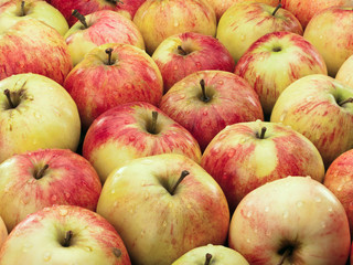 Apples