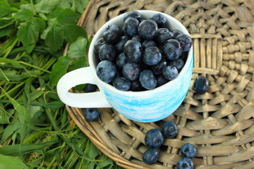 Blueberries in cup on wicker tray on grass