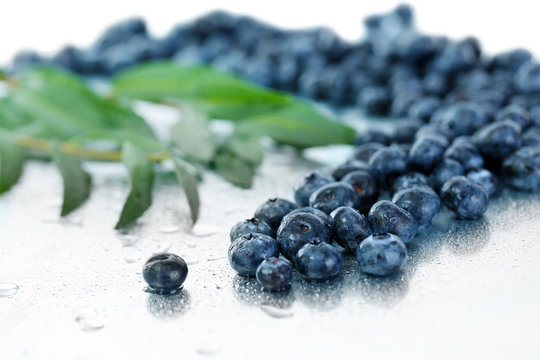 Blueberries on metal background