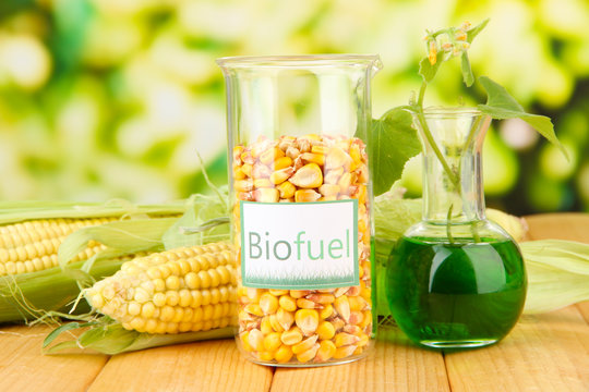 Conceptual photo of bio fuel.  On bright background