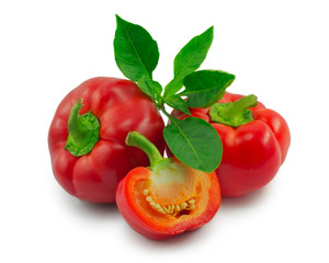 sweet pepper
