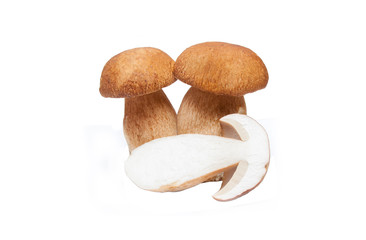 Large cut double cep