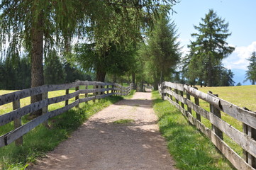 Wanderweg in S&uuml;dtirol