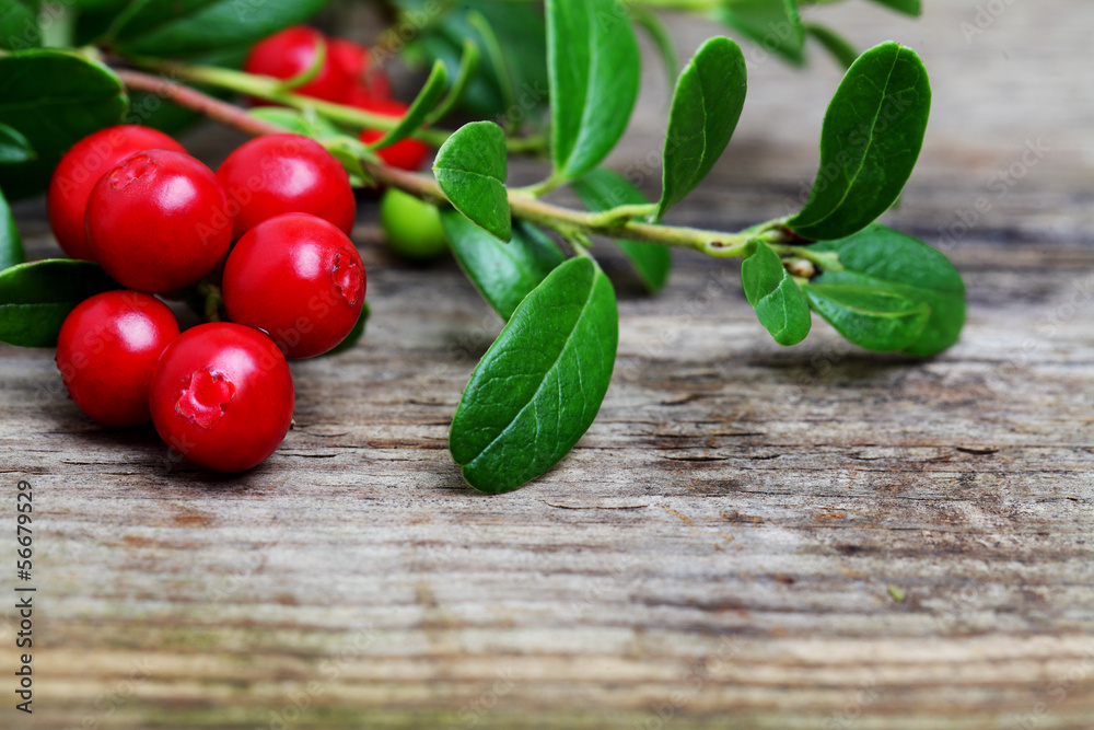 Wall mural fresh cowberries with some leaves on wooden background