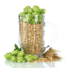 Glass of fresh green hops and barley, isolated on white