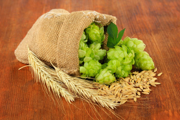 Fresh green hops in burlap bag and barley, on wooden background