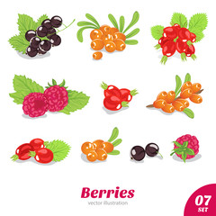 vector set of juicy berries