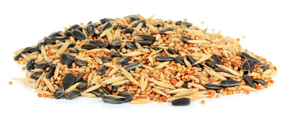 Food for parrots isolated on white