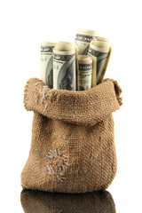 Money in  bag  on light background