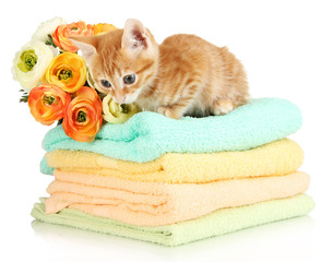 Cute little red kitten on towels isolated on white